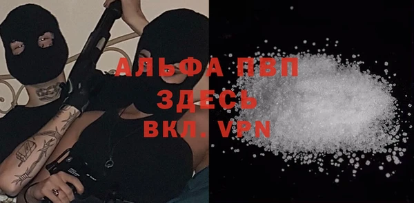 ешки Алексин