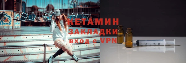 стаф Алзамай