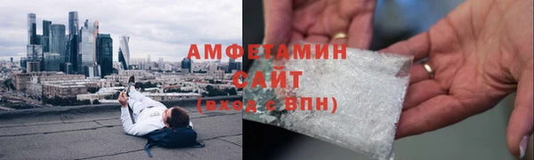 стаф Алзамай