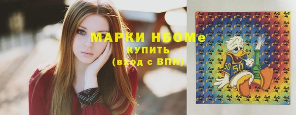 стаф Алзамай