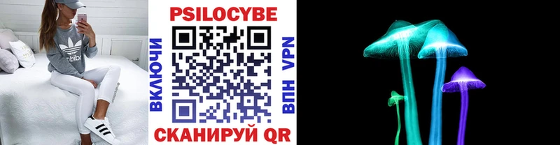 Псилоцибиновые грибы прущие грибы  Купить закладки  Чкаловск 